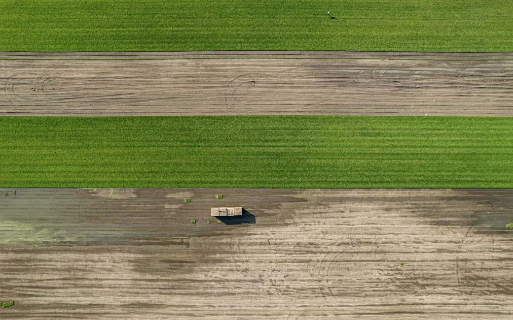 Aerial view of farmland divided into cultivated strips